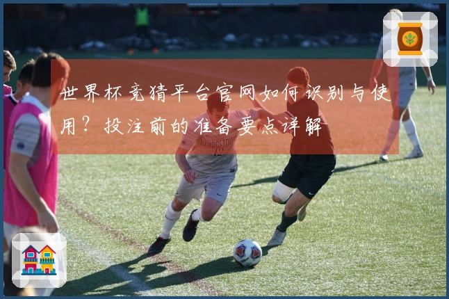 世界杯竞猜平台官网如何识别与使用？投注前的准备要点详解