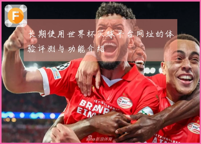 长期使用世界杯买球平台网址的体验评测与功能介绍