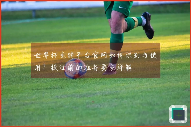 世界杯竞猜平台官网如何识别与使用？投注前的准备要点详解