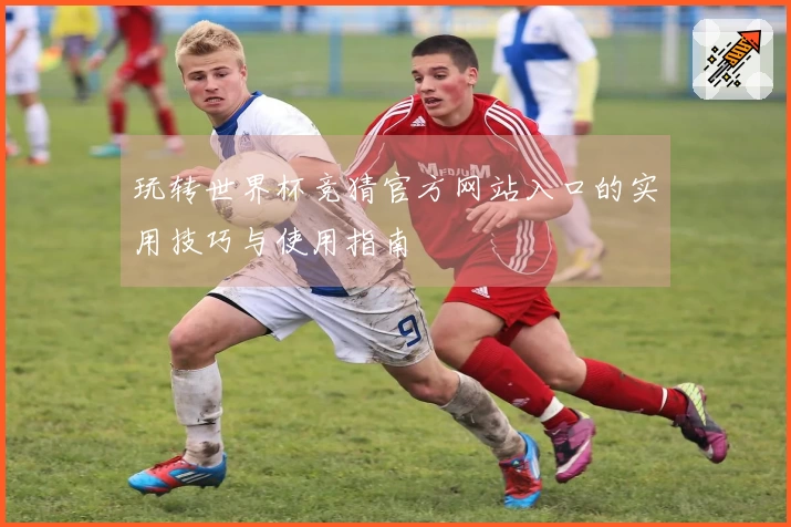 玩转世界杯竞猜官方网站入口的实用技巧与使用指南