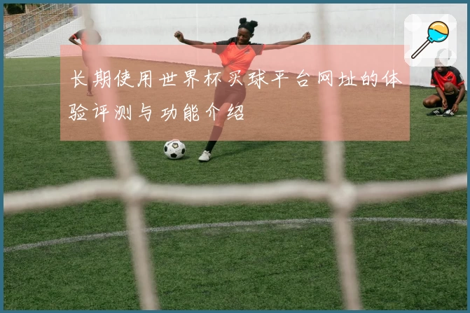 长期使用世界杯买球平台网址的体验评测与功能介绍