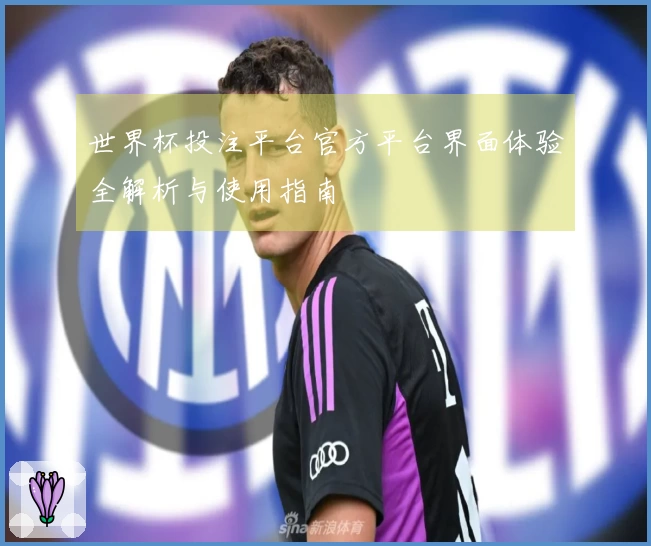世界杯投注平台官方平台界面体验全解析与使用指南