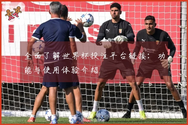 全面了解世界杯投注平台链接：功能与使用体验介绍
