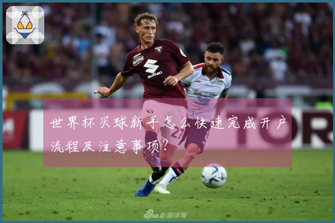 世界杯买球新手怎么快速完成开户流程及注意事项?