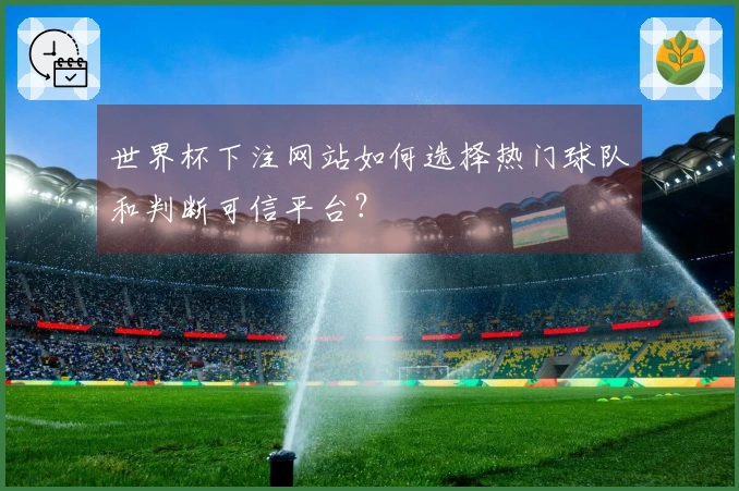 世界杯下注网站如何选择热门球队和判断可信平台？
