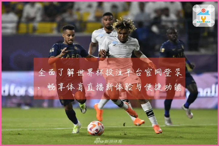 全面了解世界杯投注平台官网登录，畅享体育直播新体验与便捷功能
