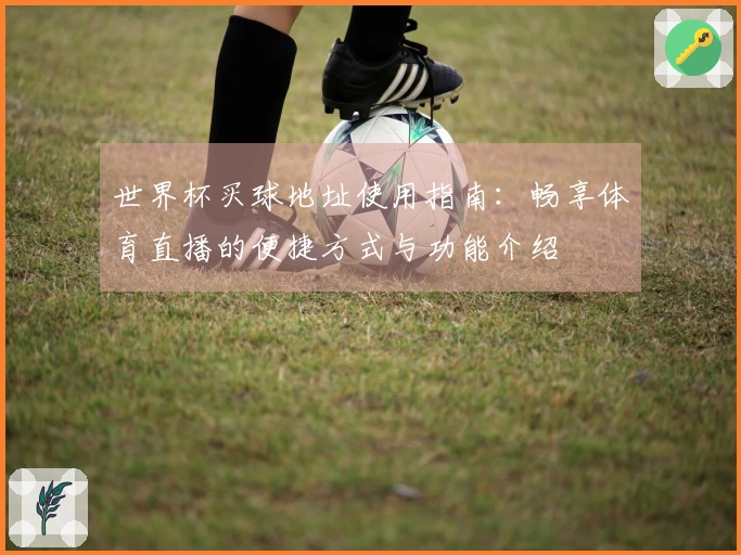 世界杯买球地址使用指南：畅享体育直播的便捷方式与功能介绍