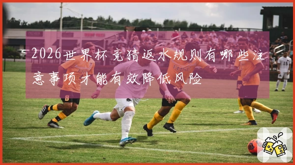 2026世界杯竞猜返水规则有哪些注意事项才能有效降低风险