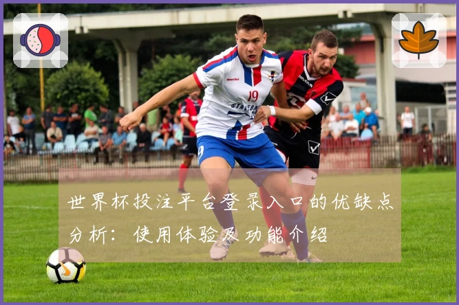 世界杯投注平台登录入口的优缺点分析：使用体验及功能介绍