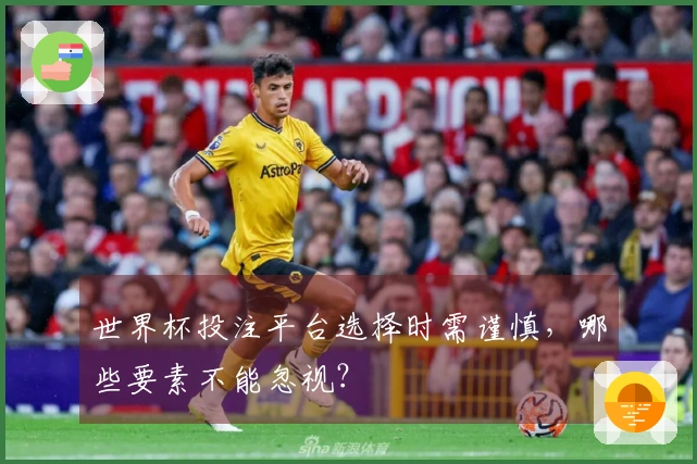 世界杯投注平台选择时需谨慎，哪些要素不能忽视？
