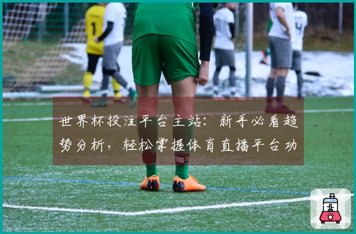 世界杯投注平台主站:新手必看趋势分析,轻松掌握体育直播平台功能与体验