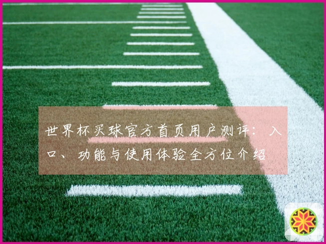 世界杯买球官方首页用户测评：入口、功能与使用体验全方位介绍