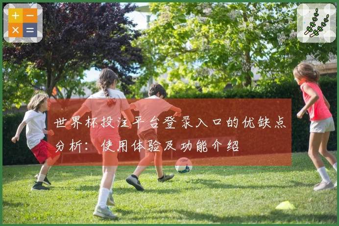 世界杯投注平台登录入口的优缺点分析：使用体验及功能介绍